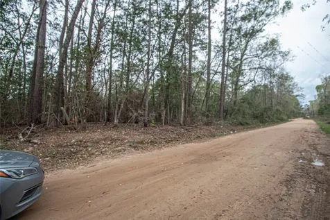 Tbd Gene Autry Trail Livingston TX 77351