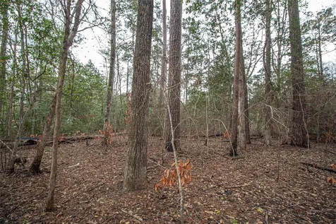 Tbd Gene Autry Trail Livingston TX 77351