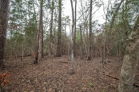 Tbd Gene Autry Trail Livingston TX 77351