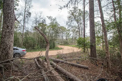 Tbd Gene Autry Trail Livingston TX 77351