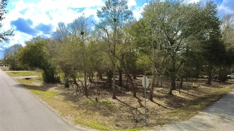 0 Teakwood Avenue Fresno TX 77545