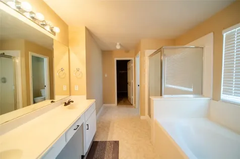 10723 Scenic Drive Montgomery TX 77356