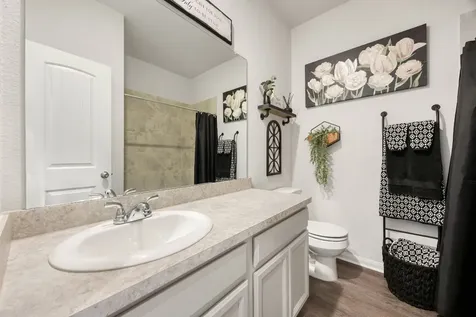 20126 Wade Hampton Drive Cleveland TX 77327