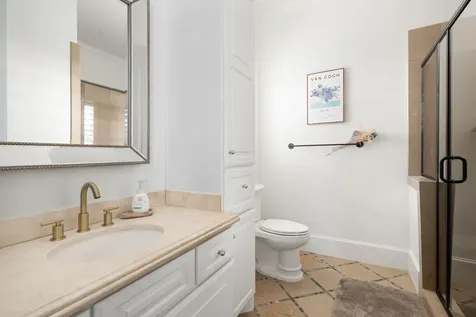 53 Pine Brook Court Shenandoah TX 77381