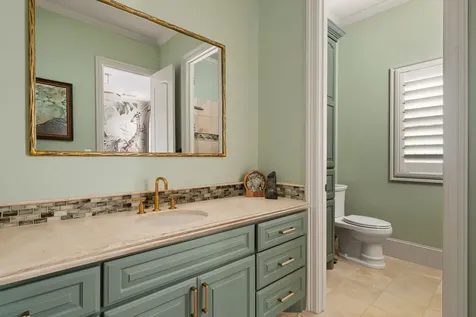 53 Pine Brook Court Shenandoah TX 77381
