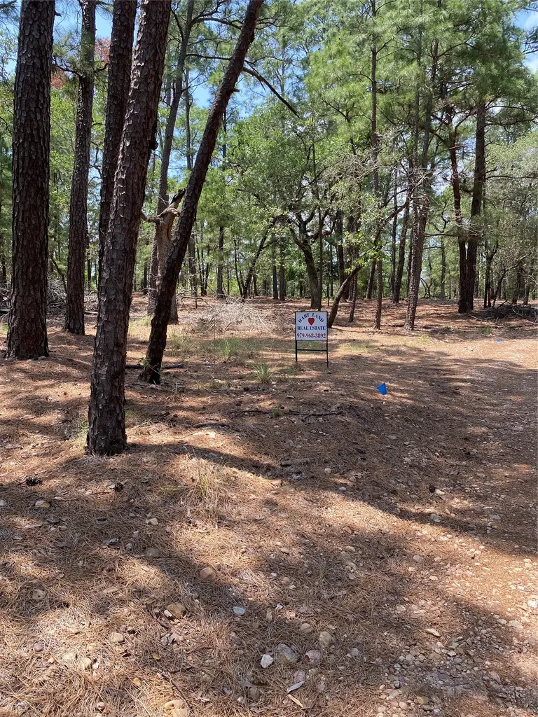 000 Clear Lake Drive La Grange TX 78945