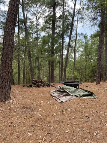 000 Clear Lake Drive La Grange TX 78945