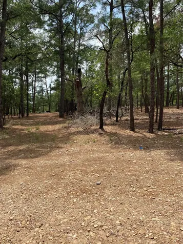 000 Clear Lake Drive La Grange TX 78945