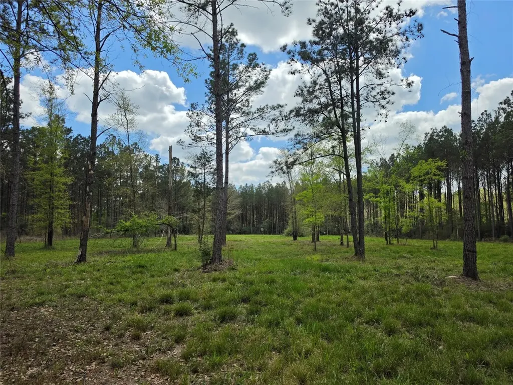 Tbd Kelley Road Livingston TX 77351