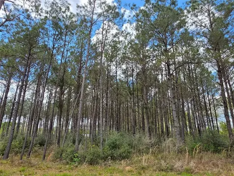 Tbd Kelley Road Livingston TX 77351
