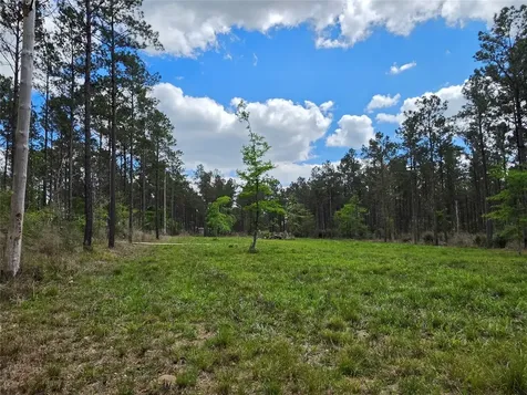 Tbd Kelley Road Livingston TX 77351