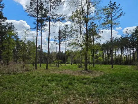 Tbd Kelley Road Livingston TX 77351
