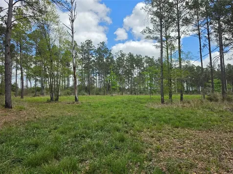 Tbd Kelley Road Livingston TX 77351