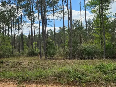 Tbd Kelley Road Livingston TX 77351