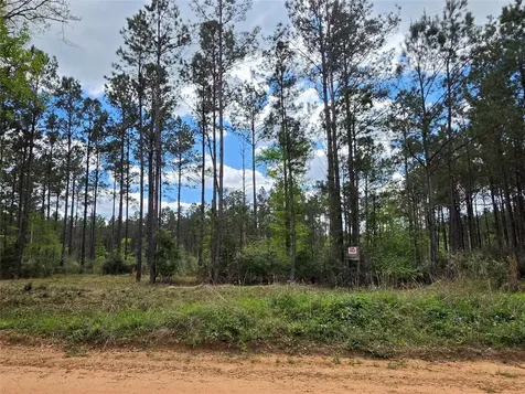Tbd Kelley Road Livingston TX 77351