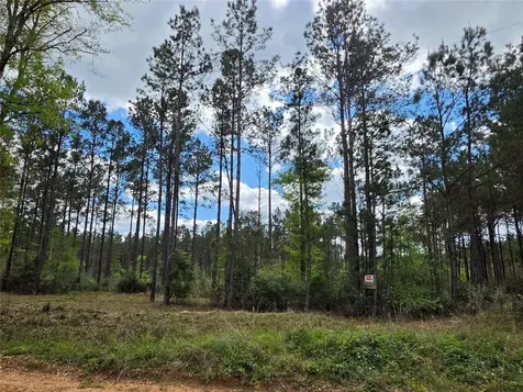 Tbd Kelley Road Livingston TX 77351