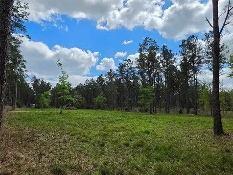 Tbd Kelley Road Livingston TX 77351