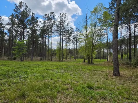 Tbd Kelley Road Livingston TX 77351