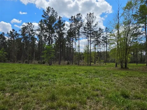 Tbd Kelley Road Livingston TX 77351