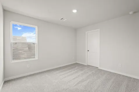 29119 Dandelion Sky Drive Waller TX 77484