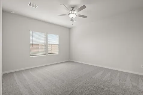 29119 Dandelion Sky Drive Waller TX 77484