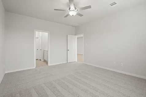 29119 Dandelion Sky Drive Waller TX 77484