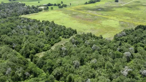 Tbd Cr 328, Tract 8, 11 Acres Caldwell TX 77836