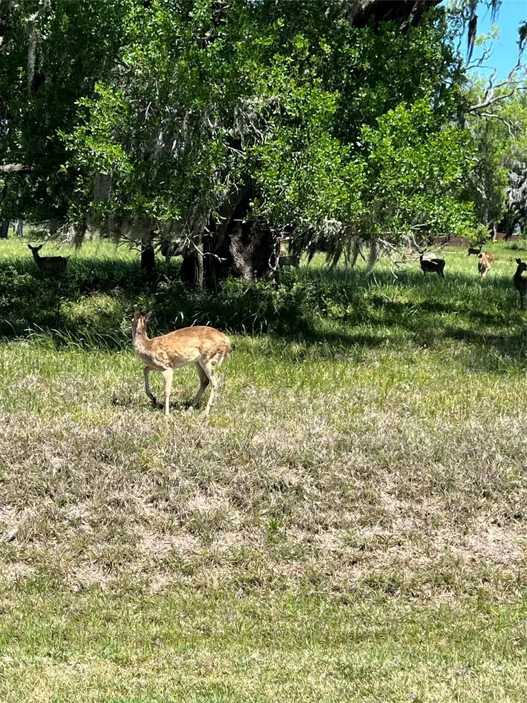 131 Hidden Horse Trail Angleton TX 77515