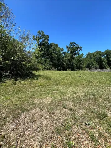 131 Hidden Horse Trail Angleton TX 77515