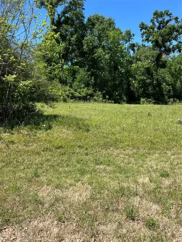 131 Hidden Horse Trail Angleton TX 77515