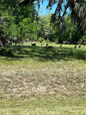 131 Hidden Horse Trail Angleton TX 77515