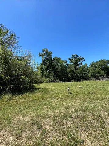 131 Hidden Horse Trail Angleton TX 77515