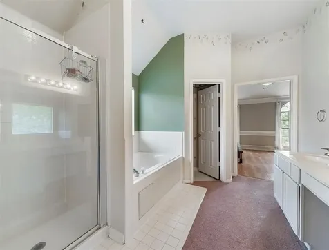 25719 Bearborough Drive Spring TX 77386