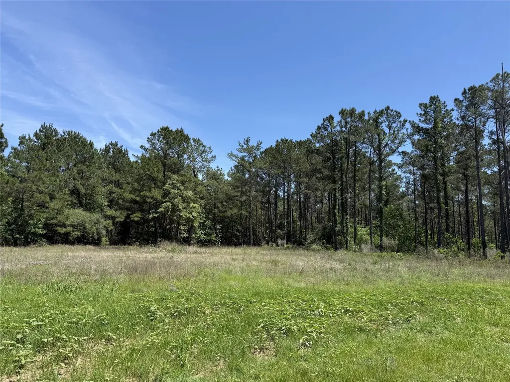 165 Queen Anne Way Huntsville TX 77340