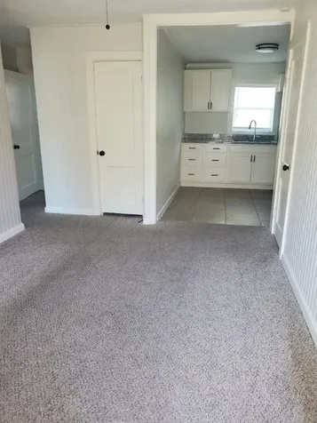 3315 Reeves Street 3 Houston TX 77004