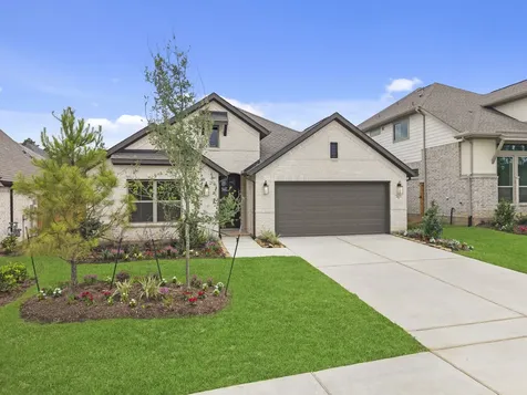 26071 Peacetree Lane Montgomery TX 77316