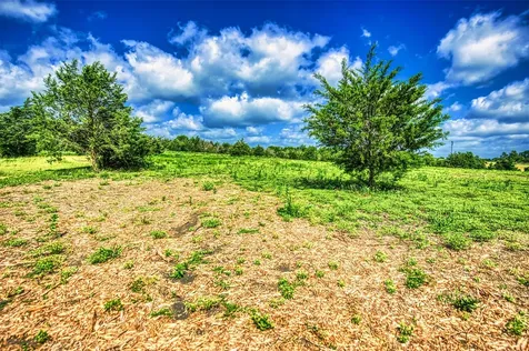 Lot 4 Wonder Hill Road Chappell Hill TX 77426