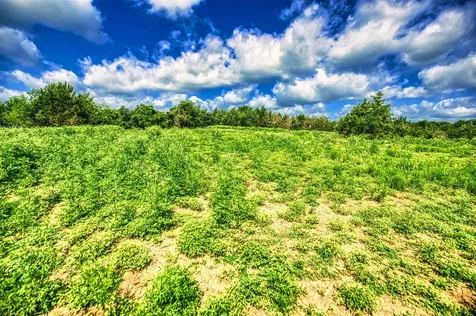 Lot 4 Wonder Hill Road Chappell Hill TX 77426