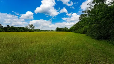 000 Fm 1488 Magnolia TX 77355