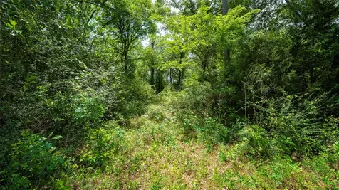 000 Fm 1488 Magnolia TX 77355