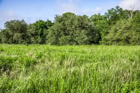 Tract 11 S Nassau Road Round Top TX 78954