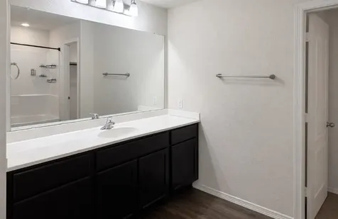 9923 Swindale Ridge Lane Houston TX 77044