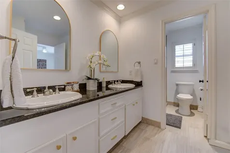 407 Southchester Lane Houston TX 77079