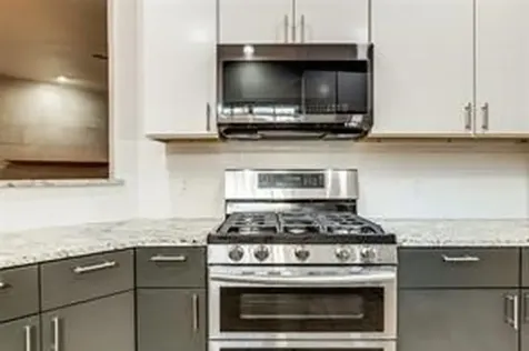 1318 Peden Street D Houston TX 77006