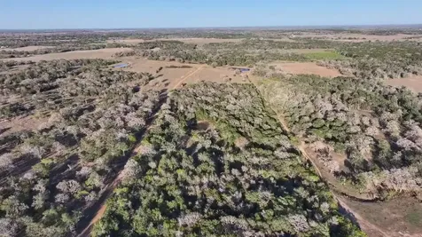 Tbd Lot 2 191 Paffen Road Paige TX 78659