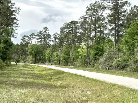 15812 Wood Grove Way Willis TX 77378