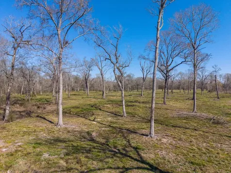 Lot 7 Johnson Drive Livingston TX 77351