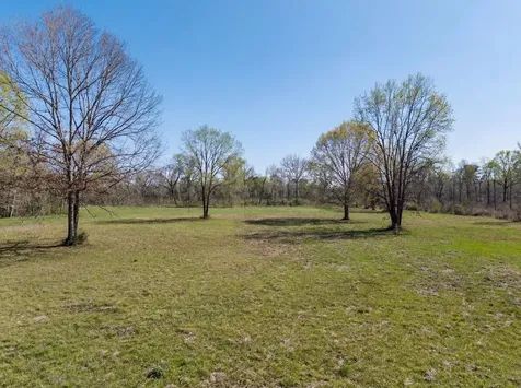 Lot 7 Johnson Drive Livingston TX 77351