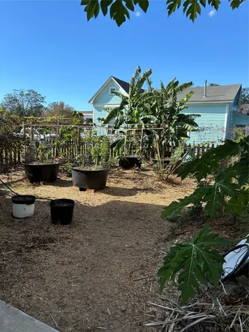 100 Welch Avenue Palacios TX 77465