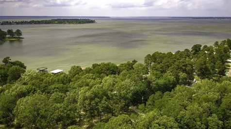 145 Island Drive Livingston TX 77351